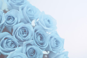 Bouquet of delicate blue roses, blurred background, place for text.