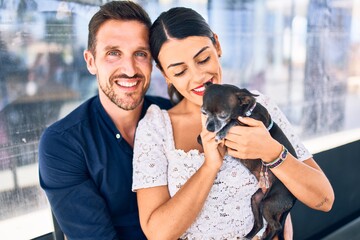 Young beautiful couple smiling happy and confident holding chihuahua dog. Sitting with smile on face hugging at restaurant.