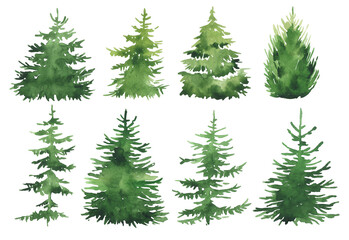Set of watercolor christmas trees, hand drawn on a white background. Christmas card. - 384599521