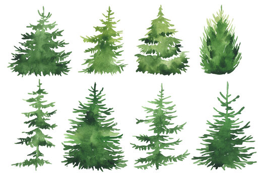 Set of watercolor christmas trees, hand drawn on a white background. Christmas card.