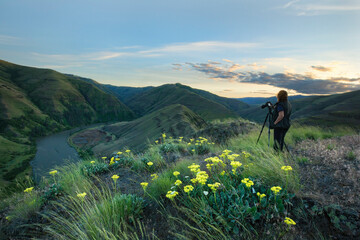 Obraz premium Overview in the Blue Mountains of Washington State with wildflowers