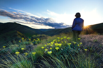 Fototapeta premium Overview in the Blue Mountains of Washington State with wildflowers