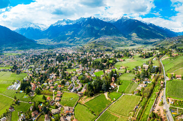 Fototapeta na wymiar South Tyrol vineyards aerial view