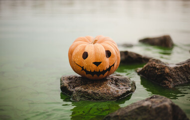 Seasonal Halloween painted pumpkins on stone with lake background. The pumpkins are beautiful and decorative, perfect for a spooky event.
