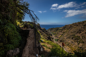 Fototapeta na wymiar Levada bei Ponta do Sol auf Madeira, Portugal