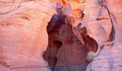 Antelope canyon