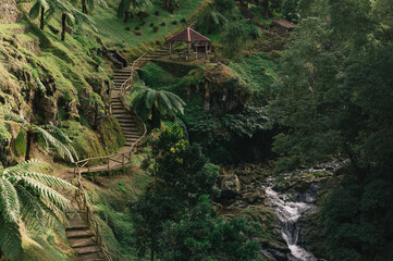 Stone steps through tropical forest, Azores Islands, Portugal