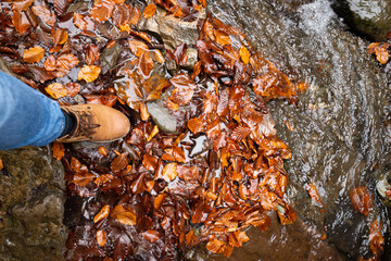 man lags in blue jeans and brown boots walking by stream full of yellow leafs