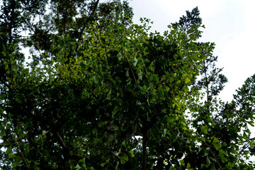 Kanazawa in Ishikawa, 2020.