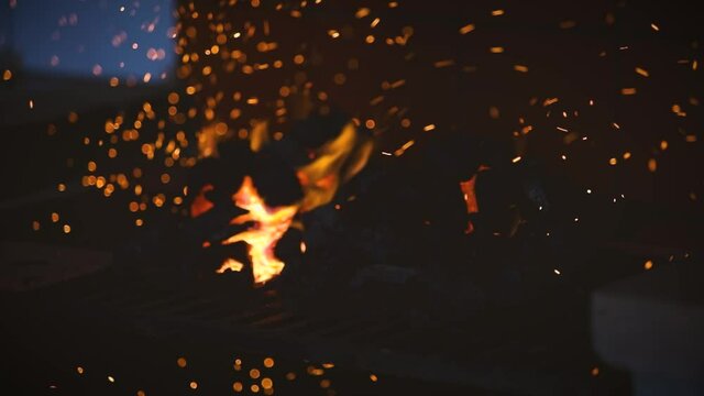 Fuego y cenizas