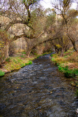 The Ilhara Valley  in Turkey situated  around Nevsehir and Goreme with mountain stream 