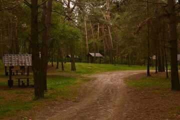 Naklejka premium walk in the park