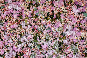 Fototapeta premium Wall of juicy multicoloured flowers