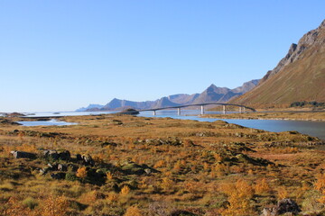 A bridge connecting the islands of Lofoten in Northern Norway