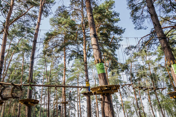 extreme rope maze in the trees. Rope park for adults.