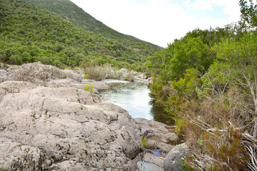 Le Fango (Fangu en corse) est un petit fleuve côtier français de l'île de Corse.