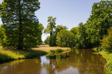 Fototapeta na wymiar River view with trees