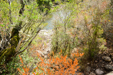 Le Fango (Fangu en corse) est un petit fleuve c&ocirc;tier fran&ccedil;ais de l'&icirc;le de Corse.