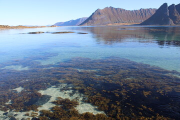 The beautiful fjords of Lofoten Islands in Northern Norway