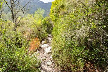Le Fango (Fangu en corse) est un petit fleuve c&ocirc;tier fran&ccedil;ais de l'&icirc;le de Corse.