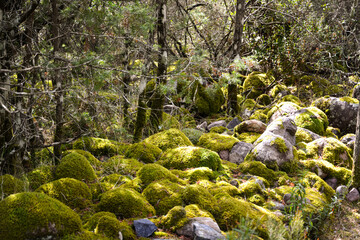 Le Fango (Fangu en corse) est un petit fleuve c&ocirc;tier fran&ccedil;ais de l'&icirc;le de Corse.
