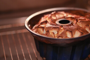 Apple pie, Charlotte, oven, bake, crust, silicone mold, shape, apples, dough, ruddy, hot, crisp, red, fried, appetizing, delicious, sweet pastry, muffin, baking tray, put in the oven, cooking, bakery,