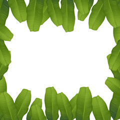 banana leaf frame