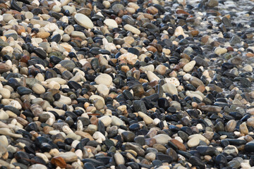 pebbles on the beach
