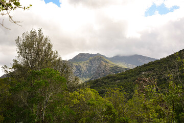 Le Fango (Fangu en corse) est un petit fleuve c&ocirc;tier fran&ccedil;ais de l'&icirc;le de Corse.