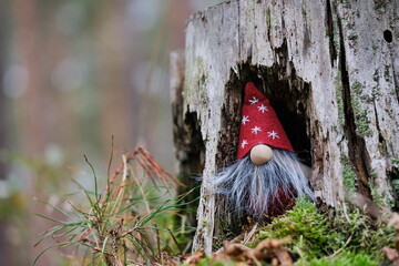 Kleiner Wichtel im Wald in einem Holzstamm sitzend