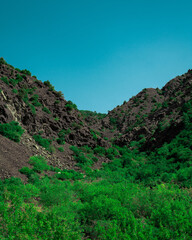 Forested valley and cliffs in hot summer sunny day 