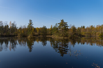 Fototapeta na wymiar Territory of Sestroretsk swamp reserve. Saint-Petersburg. Russia