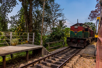 Fototapeta na wymiar Trains passing at the station at Yatiwaldeniya on the Kandy to Colombo main line railway in Sri Lanka, Asia