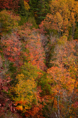 Aerial view of colorful autumn trees from Copper peak in Michigan upper peninsula