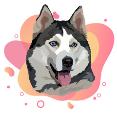 Portrait Husky dog. Vector illustration