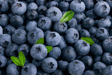 Blueberries background with leaves backround