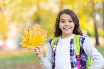 happy teenage girl playing with fallen maple leaves in autumn forest with beautiful seasonal nature...