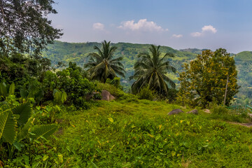 Fototapeta na wymiar A view across the jungle after leaving the station at Yatiwaldeniya on the Kandy to Colombo mainline railway in Sri Lanka, Asia
