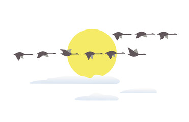 Wild geese flying at sunset minimalist icon © lana_samcorp
