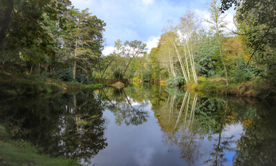 River surrounded by trees and vegetation on an autumn day. Autumn colours