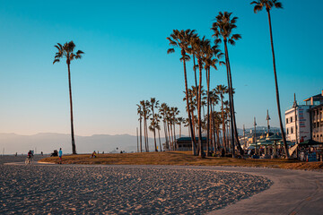 Palm trees and beautiful gradient sunset at Venice Beach Los Angeles © Bas