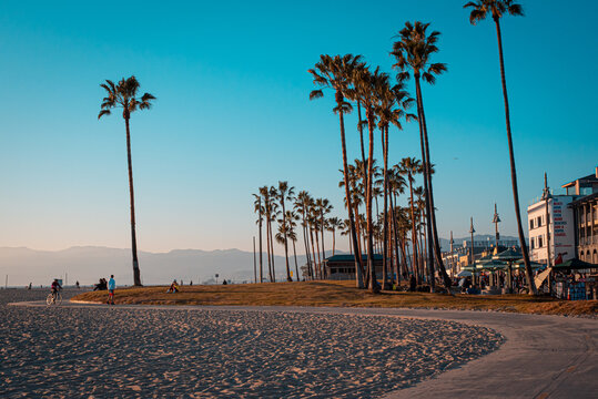 Palm trees and beautiful gradient sunset at Venice Beach Los Angeles