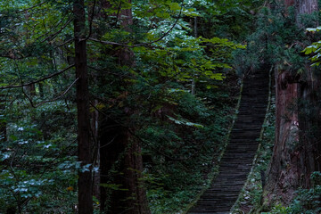 Mt. Haguro in Yamagata, 2020.