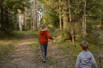 Fototapeta na wymiar backview of little boys exploring autumn forest. Image with selective focus
