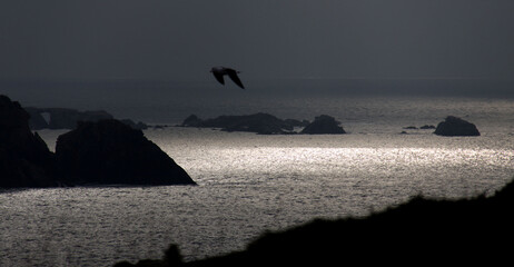 Ile d’Ouessant, océan et lumières