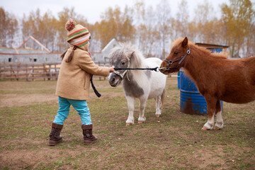 Girl With Ponies On Horse Farm