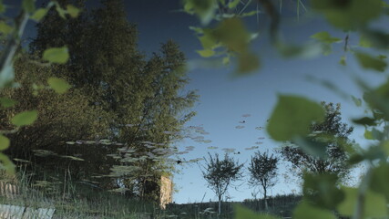 reflections in the water at the morning