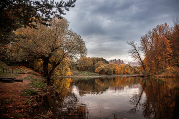 Autumn landscape - yellowed deciduous trees on the Bank of a pond in the city's autumn Park zone. Colorful autumn landscape.