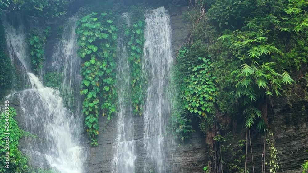 Wall mural A natural stream in the tropical forest where the clear water flowing Fastly. water flowing from a waterfall. water flowing in the forest over the rock.