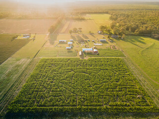 Corn maze in a corn crop in the country from the air
